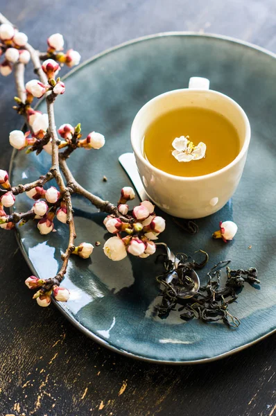 Groene thee en perzik bloesem als een voorjaar-concept — Stockfoto