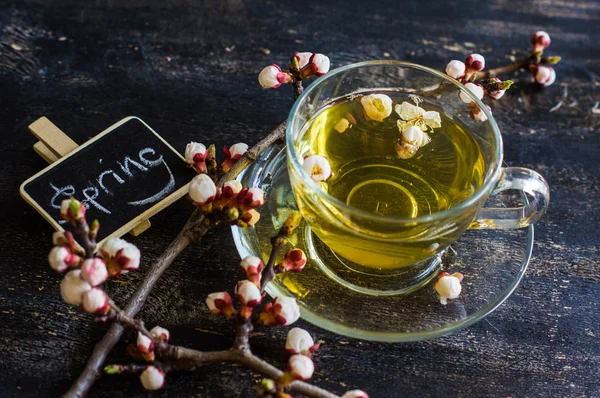 Groene thee en perzik bloesem als een voorjaar-concept — Stockfoto