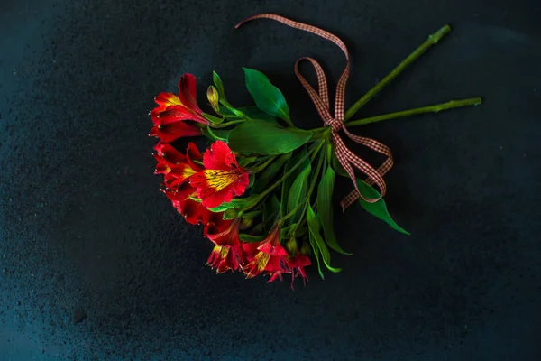 Concepto de verano con flores de lirio rojo —  Fotos de Stock