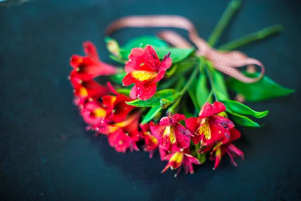 Sommerkonzept mit roten Lilienblüten — Stockfoto