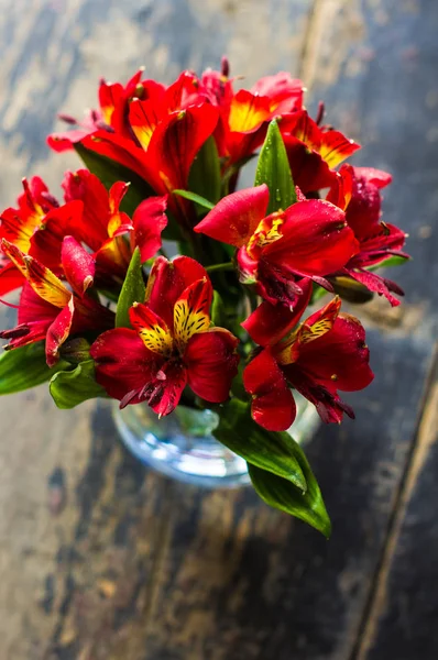 Inredning med röda lillies — Stockfoto