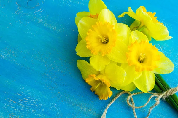 Spring concept with bright yellow daffodil flowers — Stock Photo, Image
