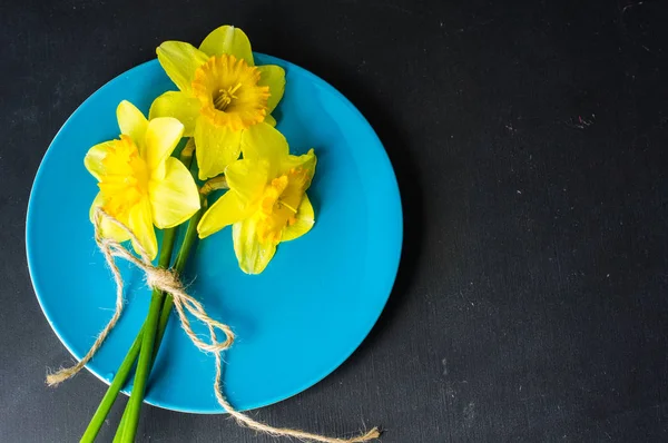 Parlak sarı nergis çiçek bahar konseptiyle — Stok fotoğraf