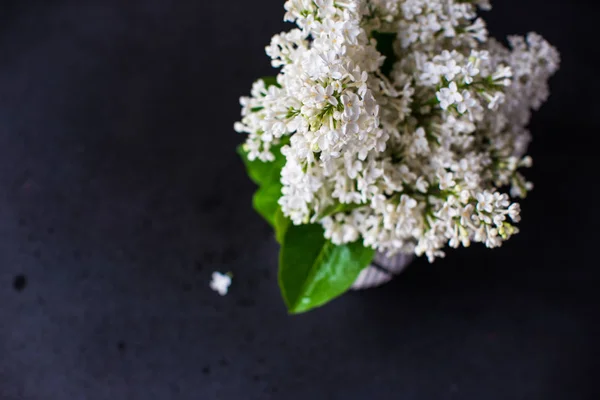 Concetto primaverile con fiori lilla bianchi — Foto Stock