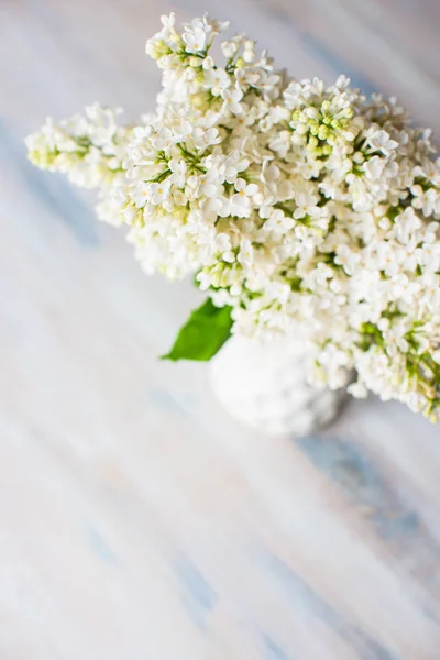 Frühlingskonzept mit weißen Fliederblüten — Stockfoto