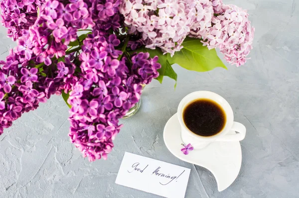 Lente concept met lila bloemen — Stockfoto