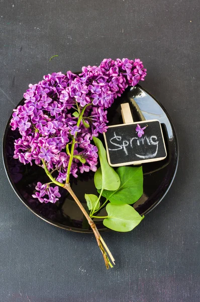 春天概念与淡紫色的花 — 图库照片