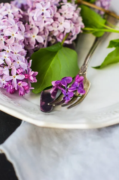 Våren koncept med lila blommor — Stockfoto