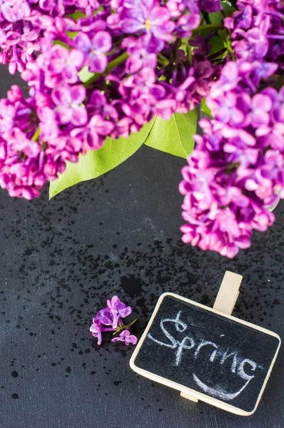 Concepto de primavera con flores lila — Foto de Stock