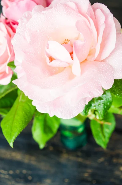 Moldura floral de verão com rosas — Fotografia de Stock