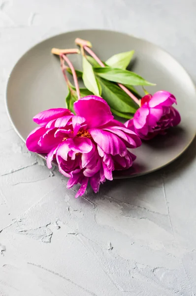 Summer floral concept with peonies — Stock Photo, Image