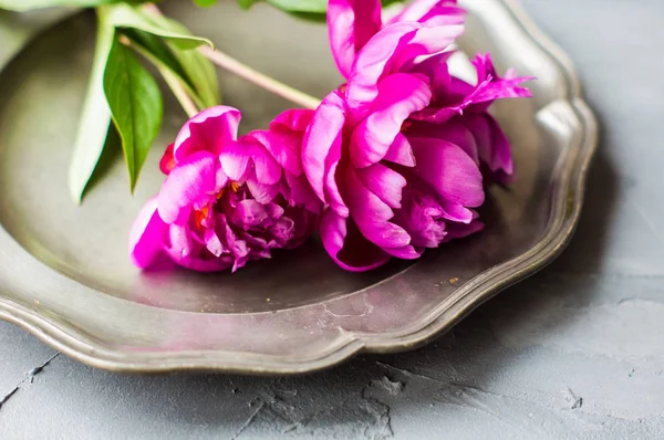 Summer floral concept with peonies — Stock Photo, Image