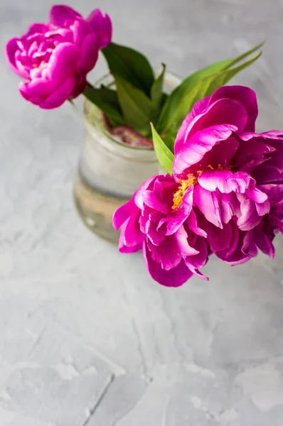 Conceito floral de verão com peônias — Fotografia de Stock