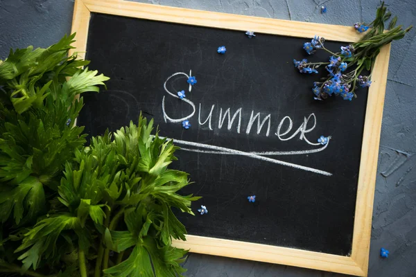 Summer time concept — Stock Photo, Image