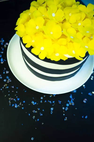 Festive cake concept — Stock Photo, Image