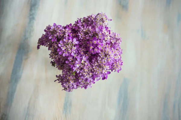 Instelling van de tabel van de zomer — Stockfoto