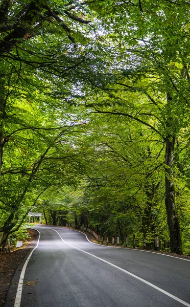 Paisagem outonal da região de Kakheti — Fotografia de Stock