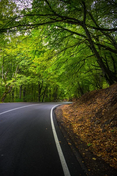 Paisagem outonal da região de Kakheti — Fotografia de Stock