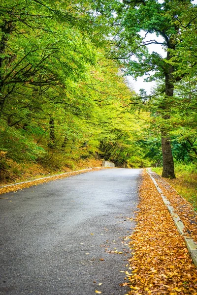 Autumnal landscape of Kakheti region — Stock Photo, Image