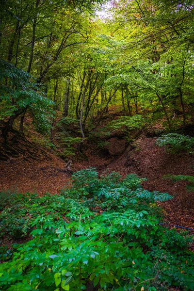 Paisaje otoñal de la región de Kakheti — Foto de Stock