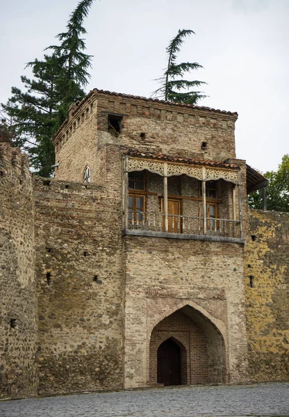 Kaheti bölgesi sonbahar manzara — Stok fotoğraf