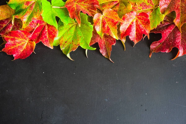 Herbstliches Konzept mit leuchtend roten Blättern — Stockfoto