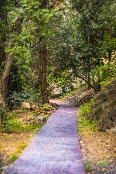 Paisagem rural outonal — Fotografia de Stock