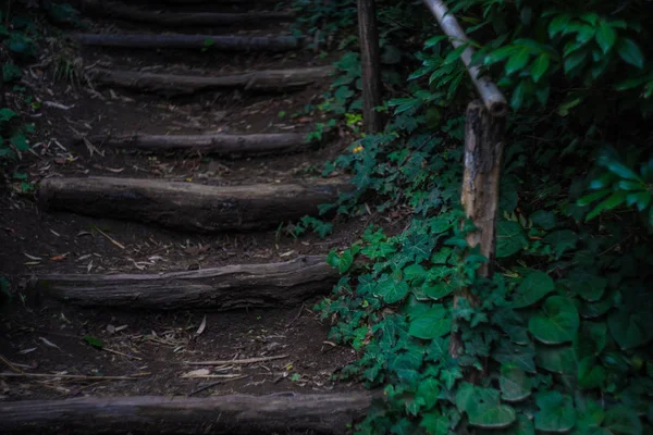 Ancienne passerelle en bois — Photo