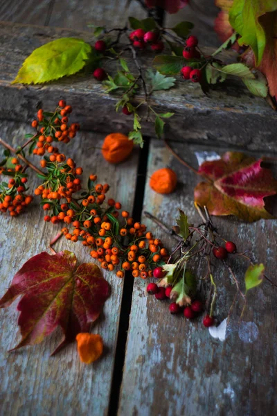 Jesienny jedzenie koncepcja — Zdjęcie stockowe