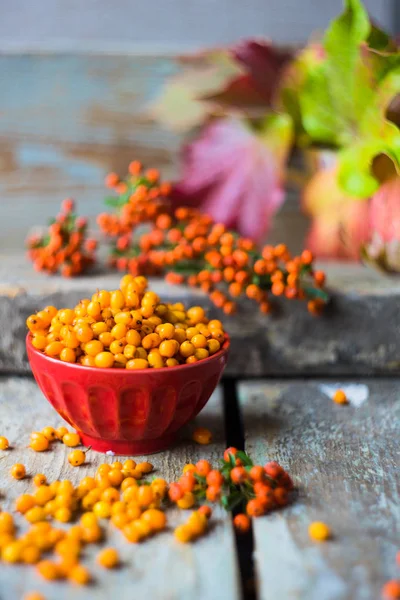 Autumnal food concept — Stock Photo, Image