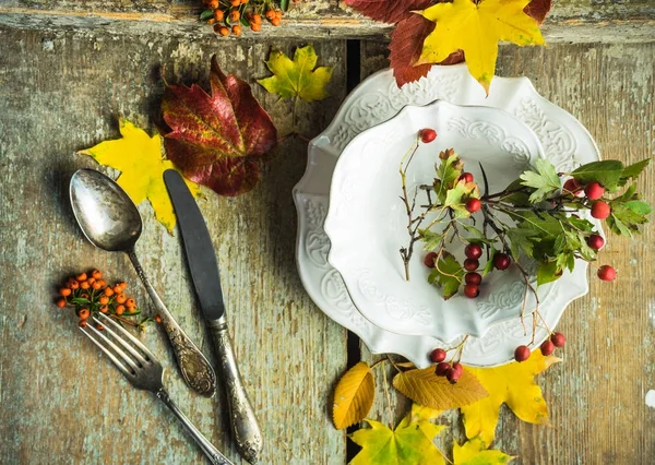 Autumnal concept with yellow leaves — Stock Photo, Image