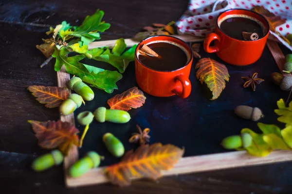 Concetto autunnale con foglie gialle — Foto Stock