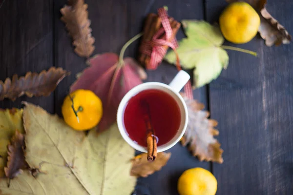 Autumnal concet with mulled tea — Stock Photo, Image