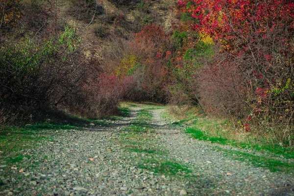 Autumnal landscape of Kartli region — Stock Photo, Image