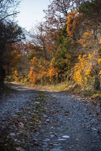Herbstliche Landschaft der Kartli-Region — Stockfoto