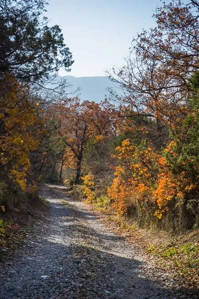 Paisaje otoñal de la región Kartli — Foto de Stock