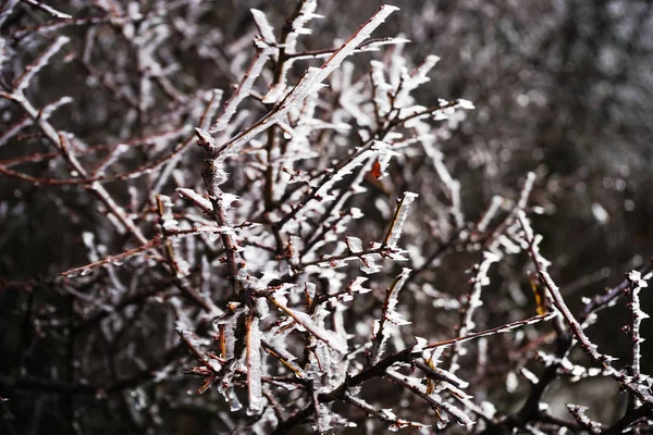 Télen a városon kívül — Stock Fotó