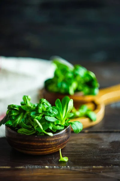 Concepto de alimentos ecológicos — Foto de Stock