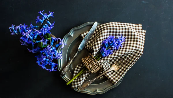 Våren koncept med hyacint — Stockfoto