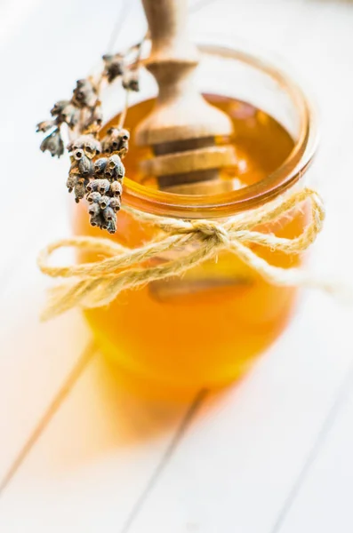 Méz és levendula — Stock Fotó