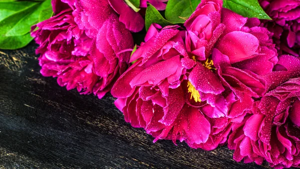 Interno con fiori di peonia — Foto Stock