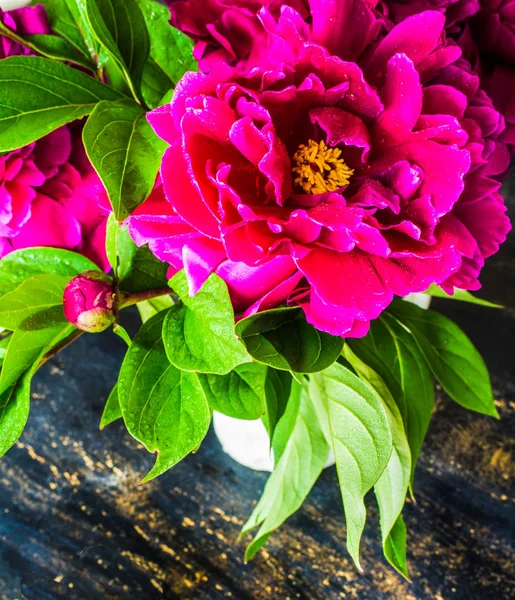 Interiör med pion blommor — Stockfoto