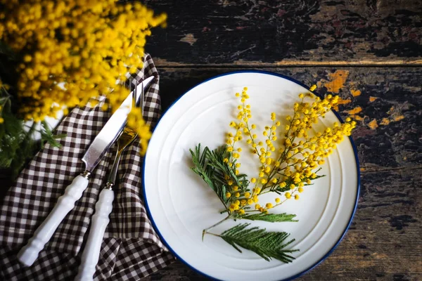 Våren dukning med mimosa blommor — Stockfoto