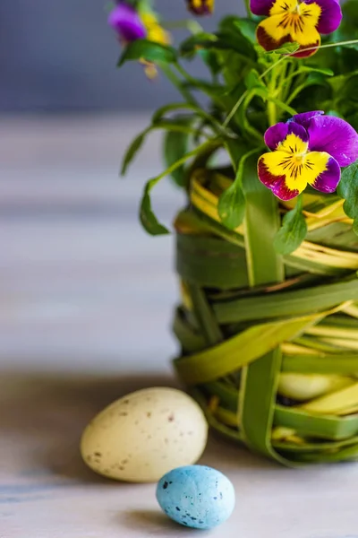 First spring flowers in a pot — Stock Photo, Image