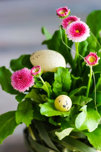 Premières fleurs printanières dans un pot — Photo