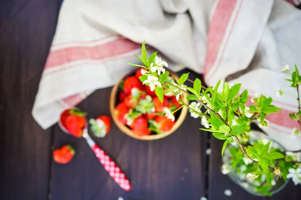 Fresas orgánicas frescas —  Fotos de Stock