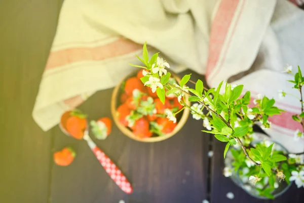 Fresas orgánicas frescas —  Fotos de Stock