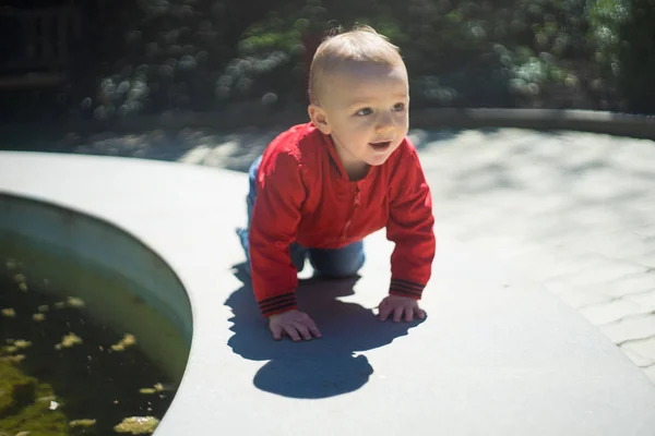 Baby boy portrait — Stock Photo, Image