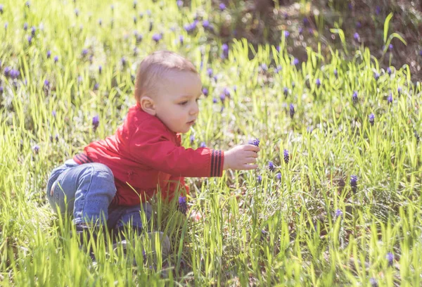 Baby boy porträtt — Stockfoto