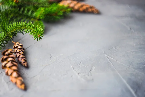 Christmas time concept — Stock Photo, Image